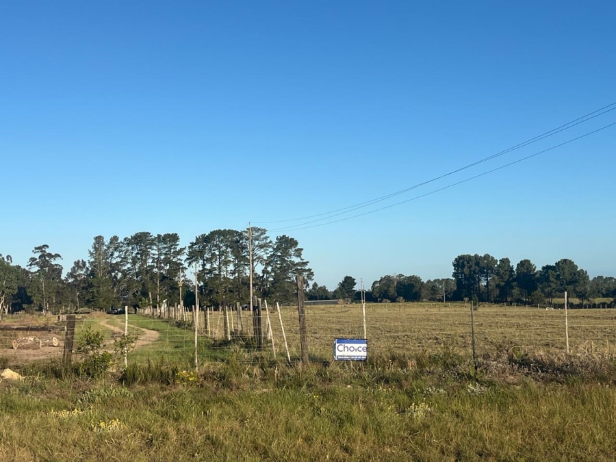 Commercial Property for Sale in Plettenberg Bay Rural Western Cape